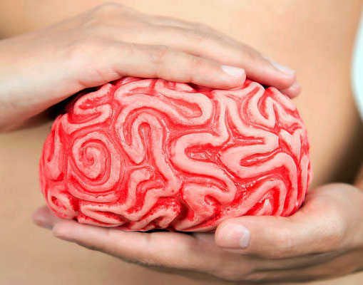 La salute e la bellezza nascono da dentro: l’intestino, il nostro secondo cervello